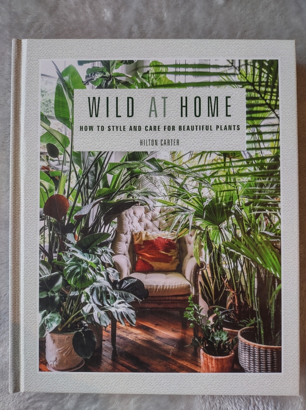Wild at Home: How to Style and Care for Beautiful Plants – Hilton Carter